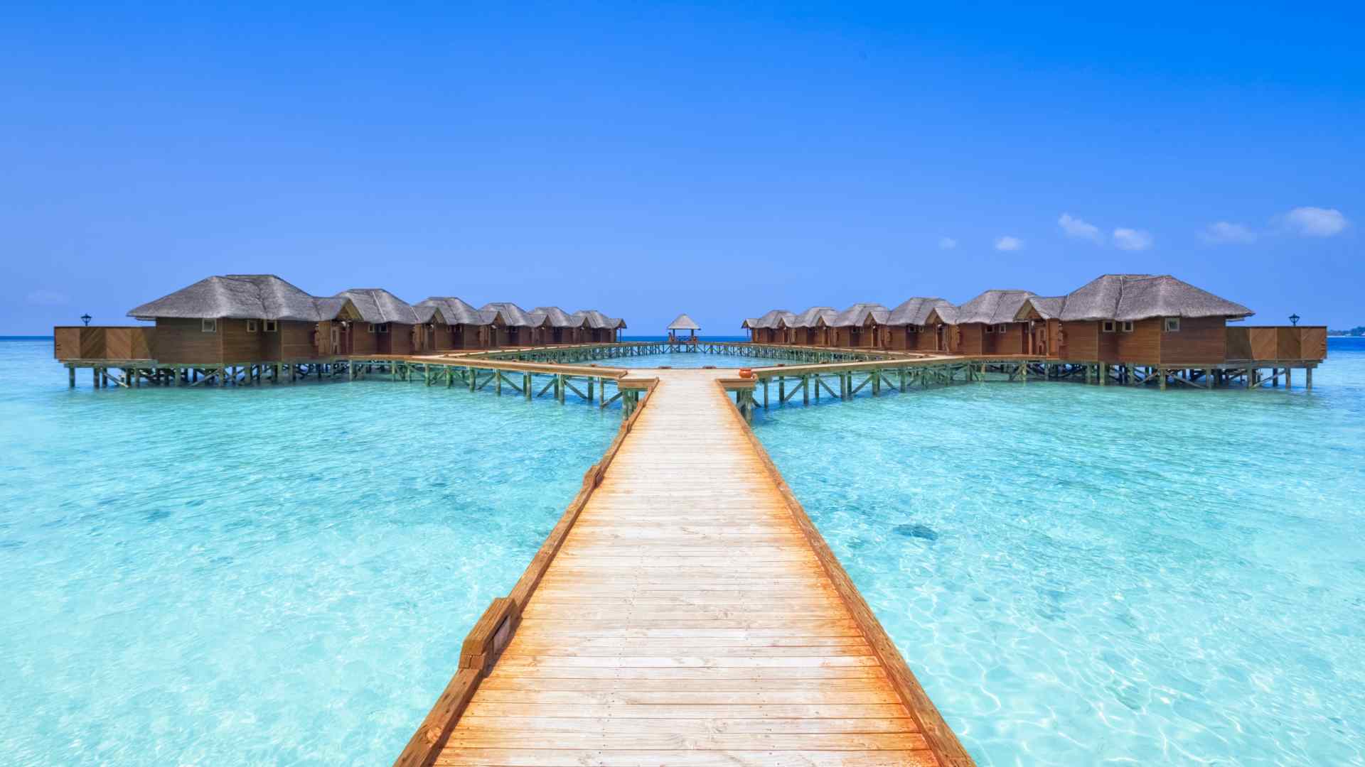 Caribbean overwater bungalows with pitched roofs sitting above calm blue water near a green shoreline