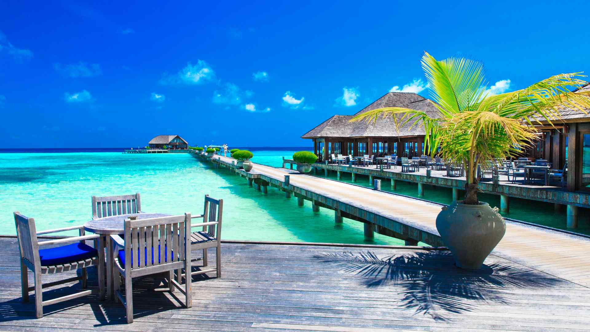 Walkway connecting tropical overwater bungalows