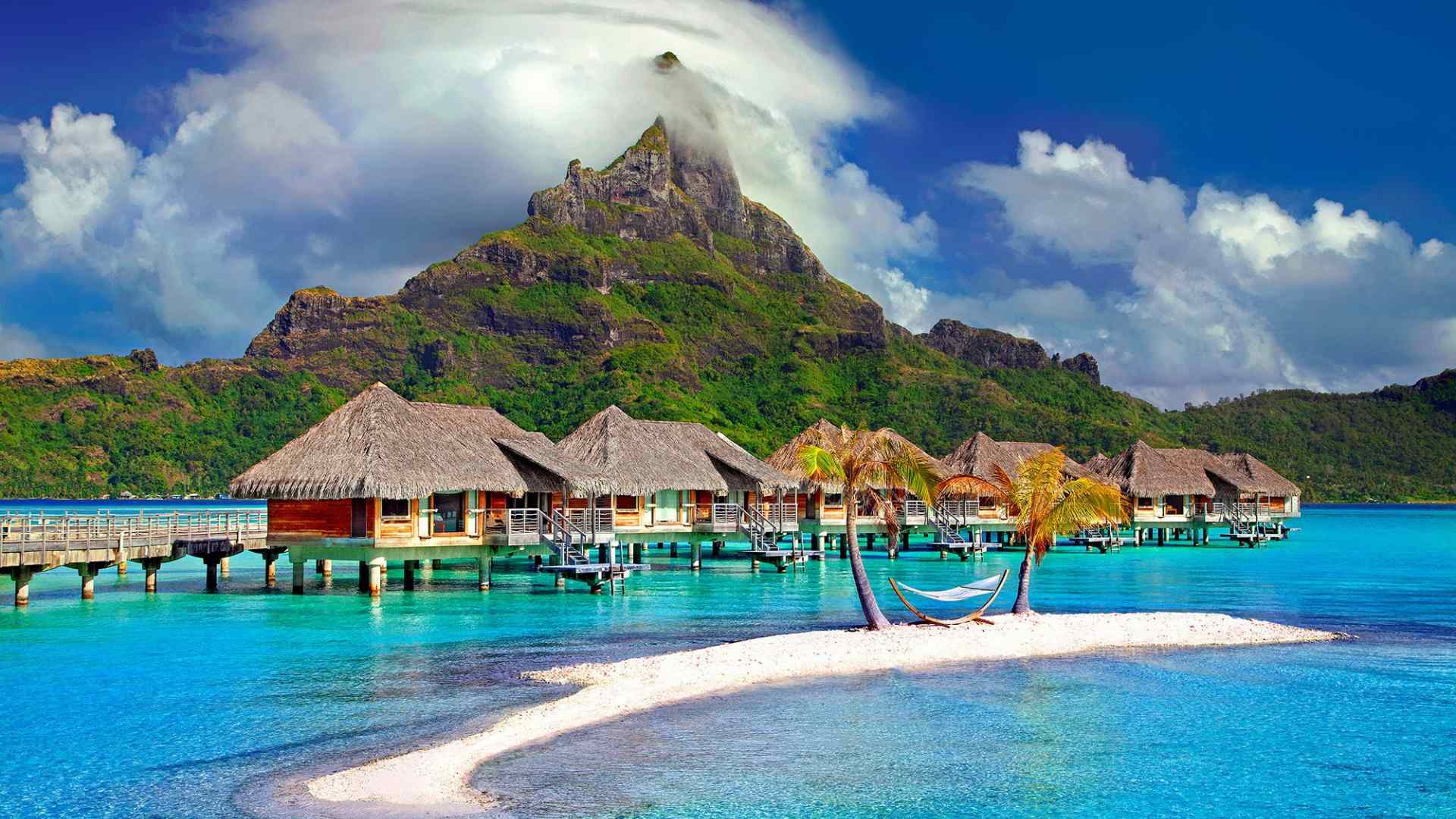 A wooden ladder leading from an overwater villa deck down into clear shallow water