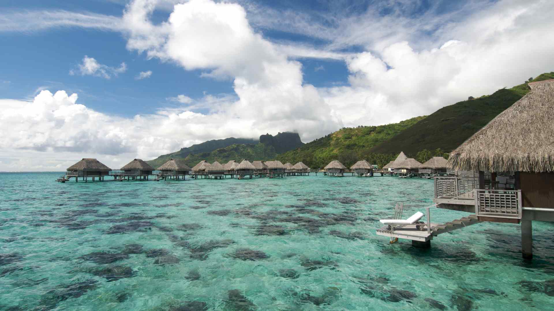 Overwater bungalows and green mountains beside a Moorea lagoon