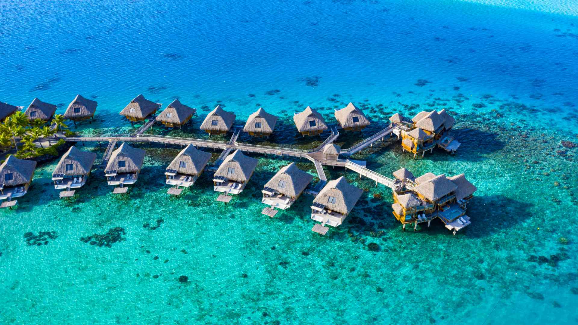 Thatched bungalows beside turquoise lagoon water in Moorea