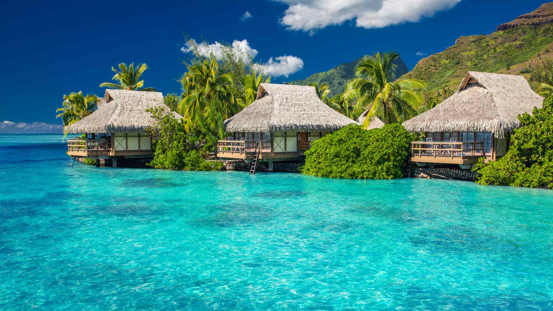 Aerial view of overwater bungalows above a clear Moorea lagoon