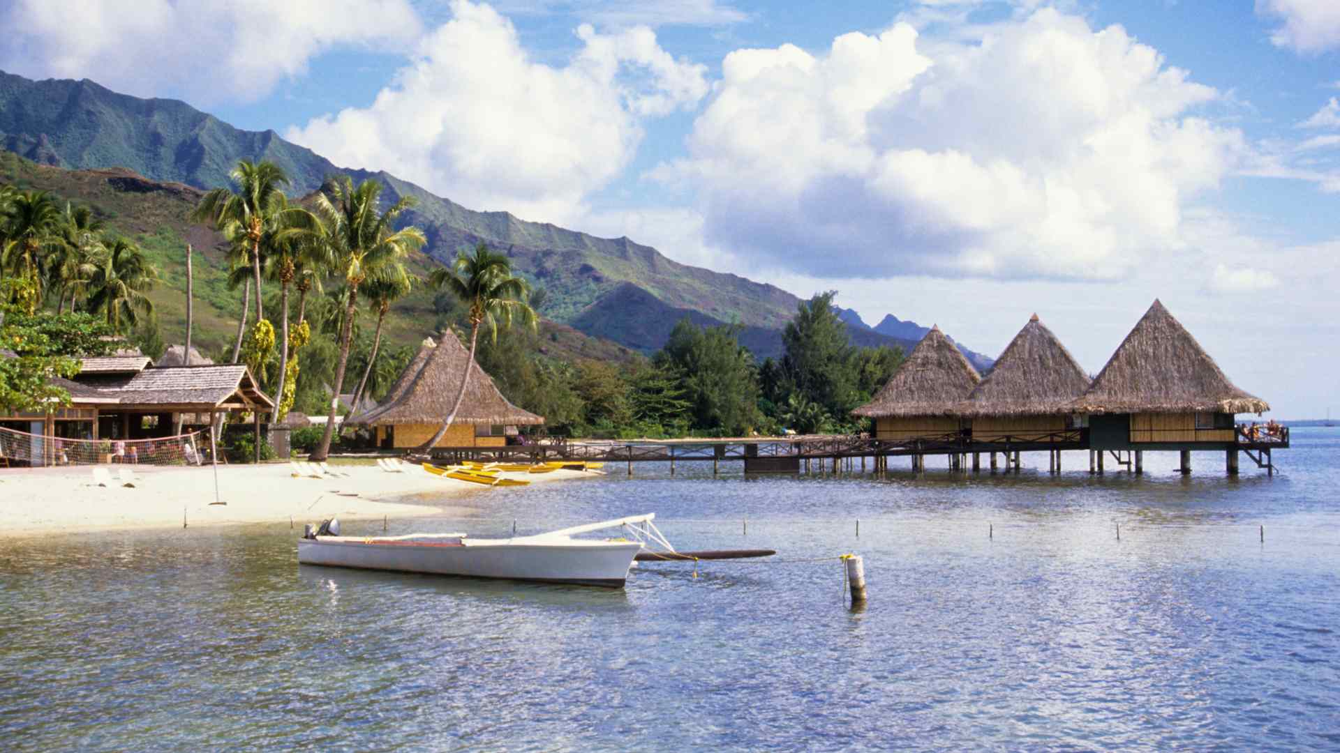 Thatched overwater bungalows beside a tropical shoreline