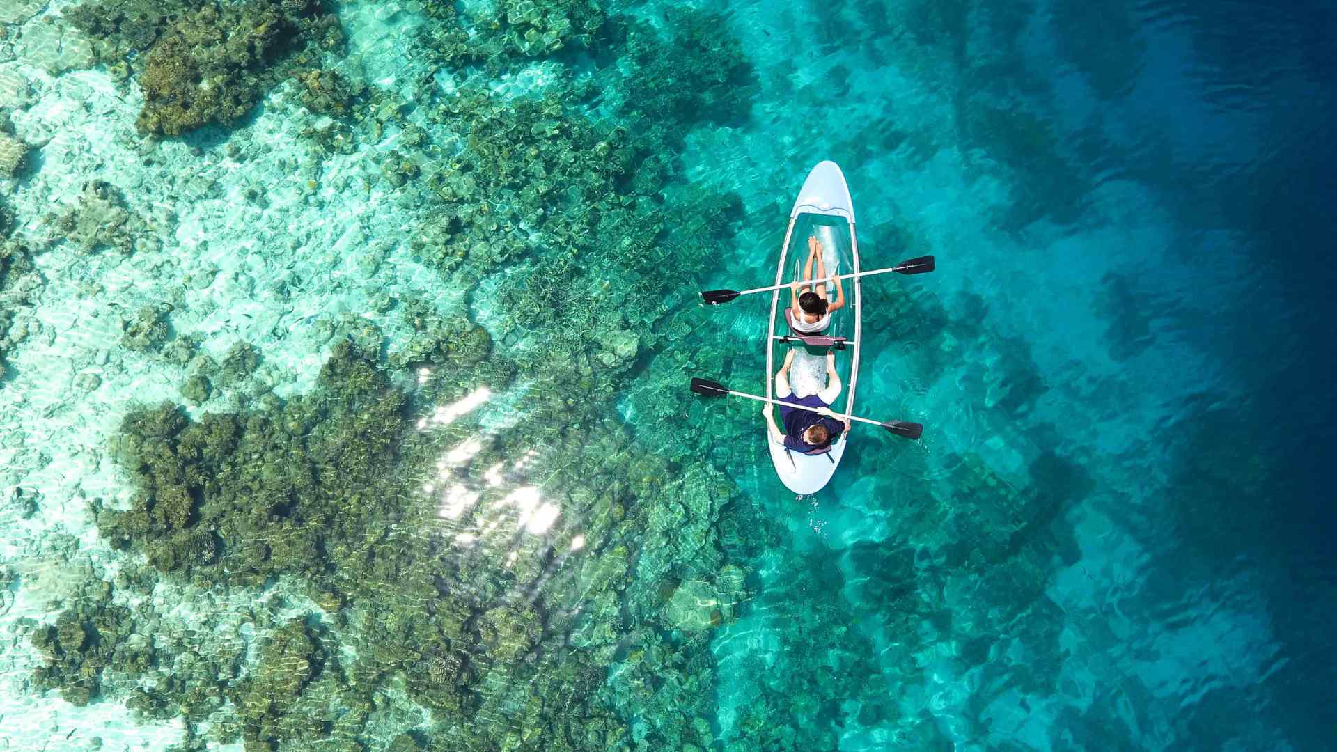 Two travelers kayaking above clear tropical water