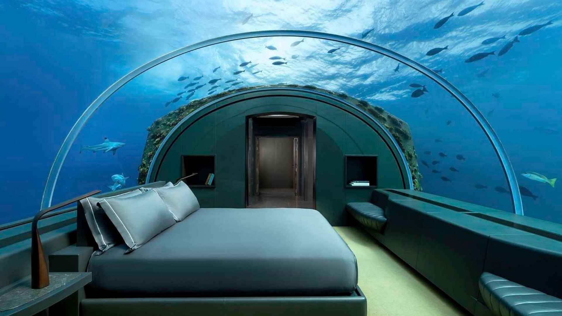 The 11 BEST Underwater Hotels (with Price Ranges) in 2025!