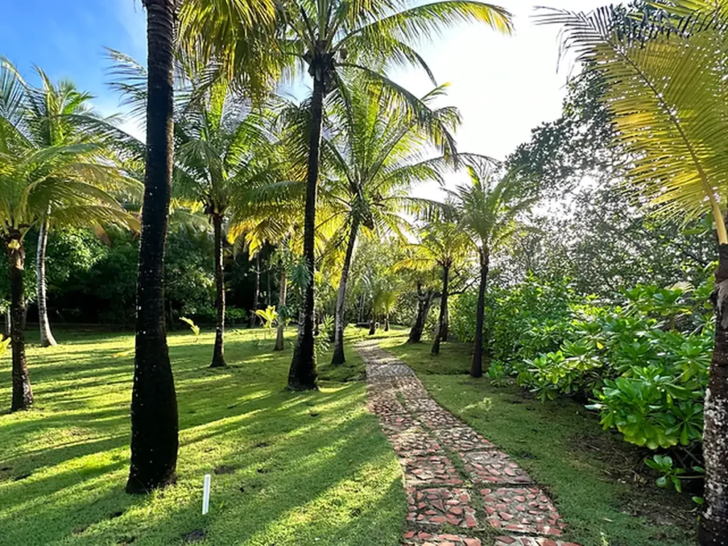 Mango Creek Resort