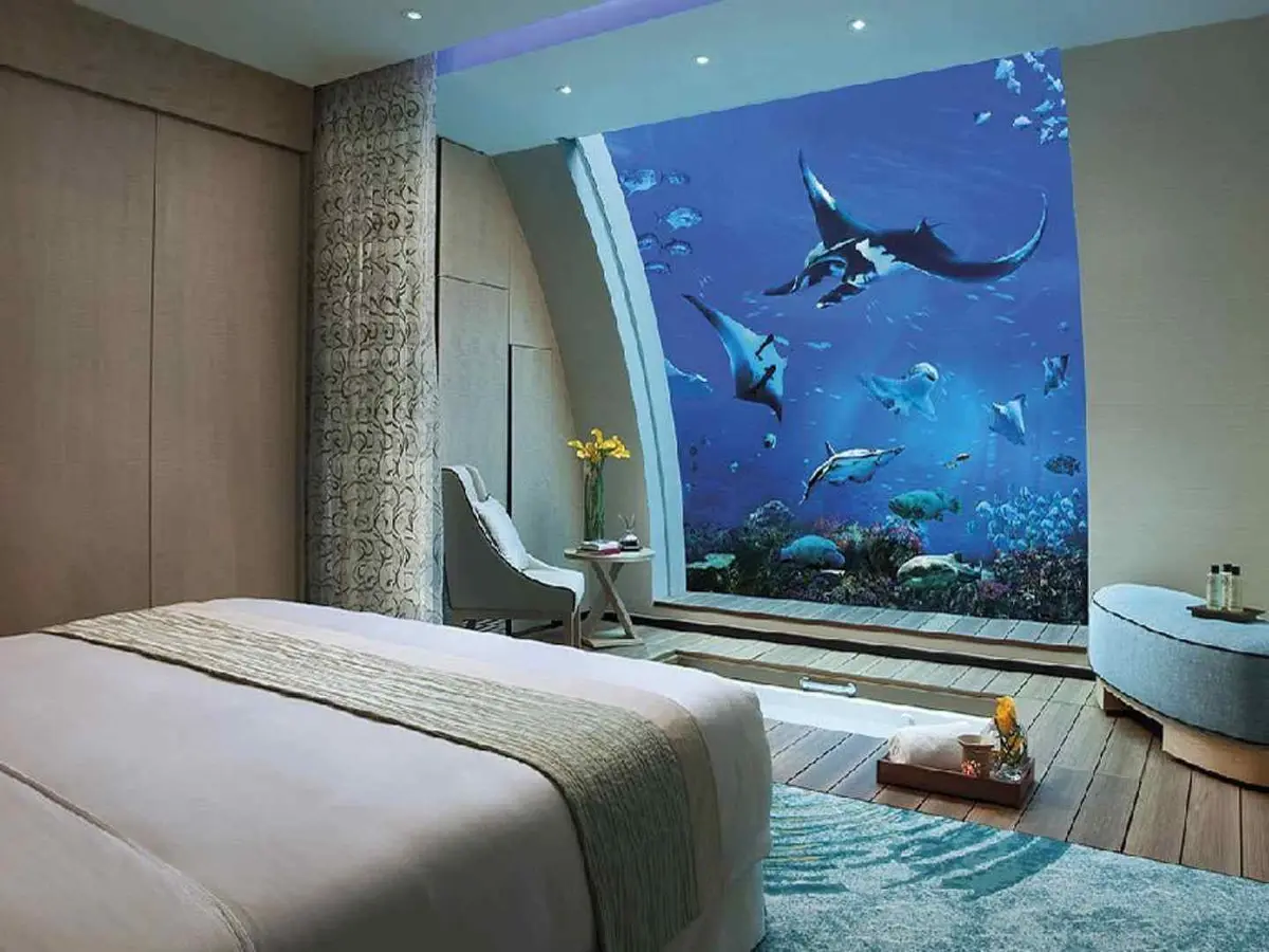 A submerged hotel room with marine life outside